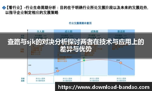 查路与sjk的对决分析探讨两者在技术与应用上的差异与优势